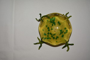 Green Starfish Candy Dish